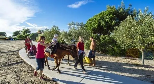 Apartment In Zaton (Zadar)