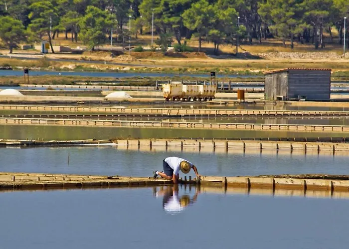 In Apartment Zaton (Zadar)
